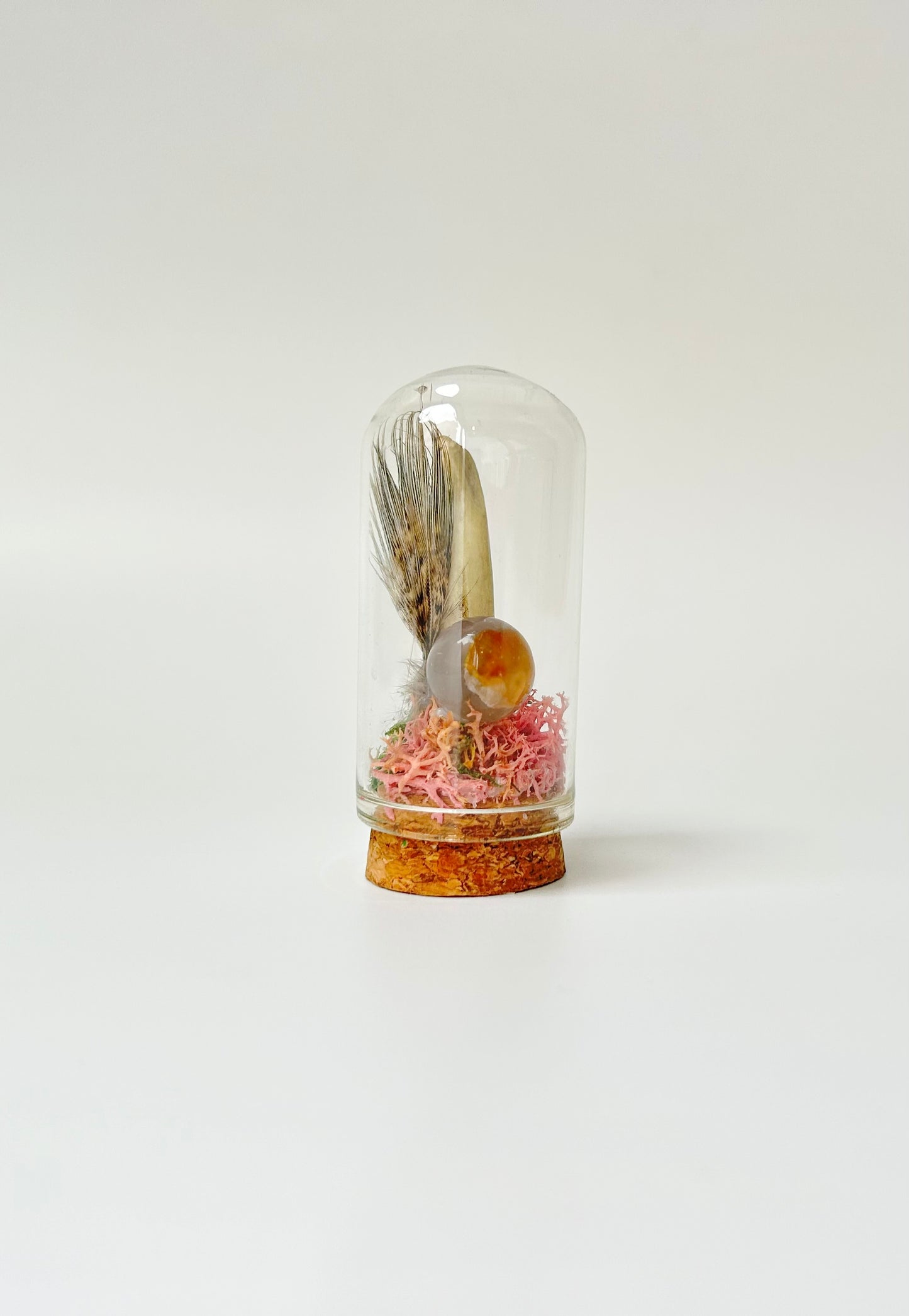 Nature Domes, Crystal Moss Terrarium