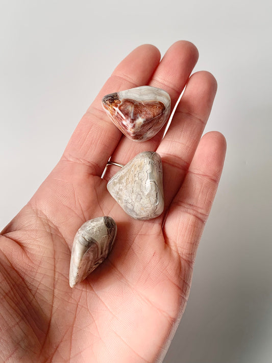 Crazy Lace Agate, Tumble