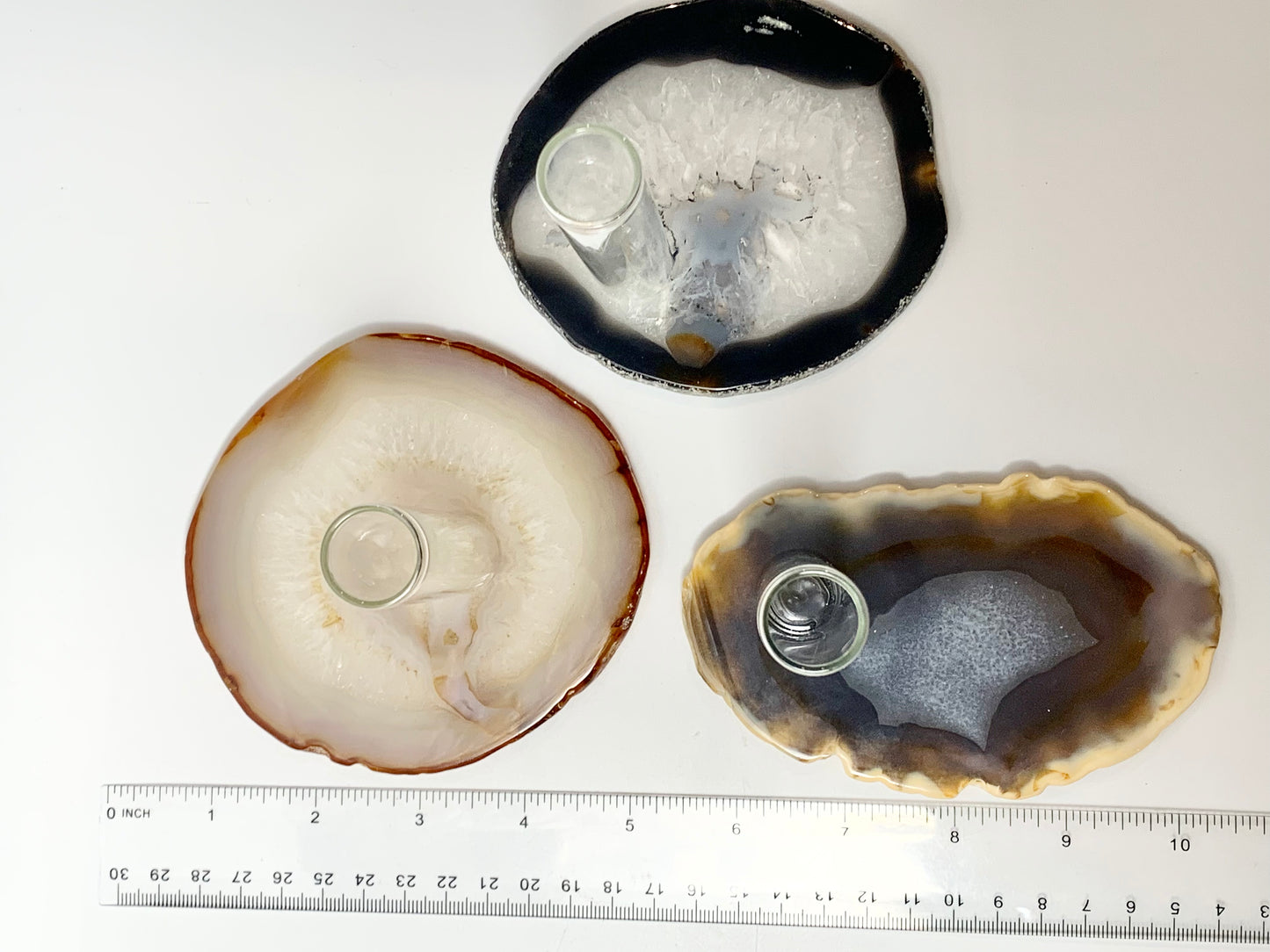 Agate slice plant propagation