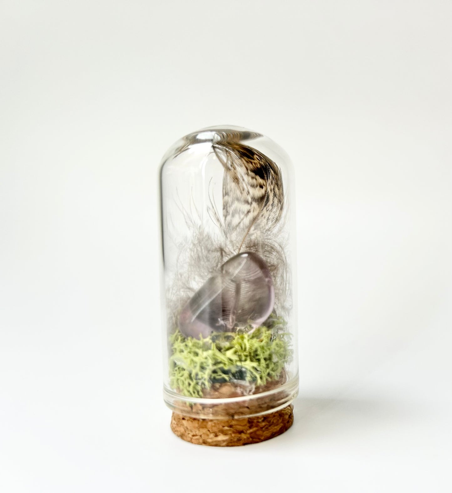 Nature Domes, Crystal Moss Terrarium