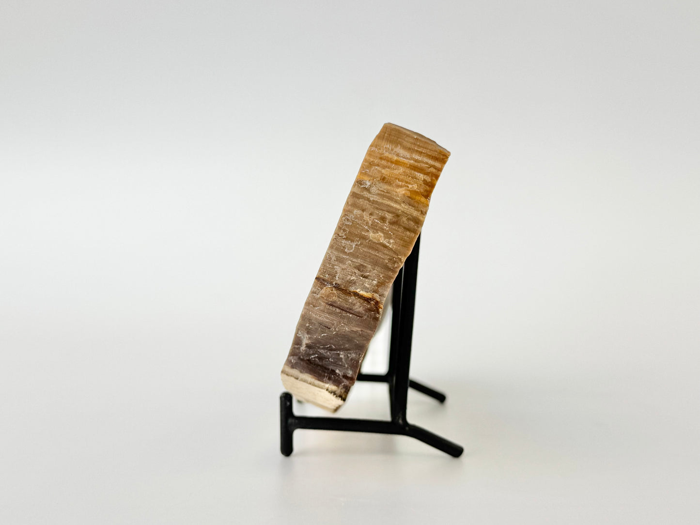 Petrified Wood Slab, Polished