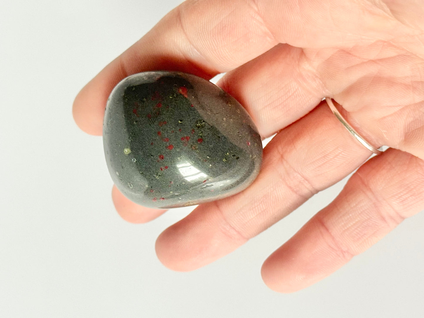 Lake Michigan Polished Stone