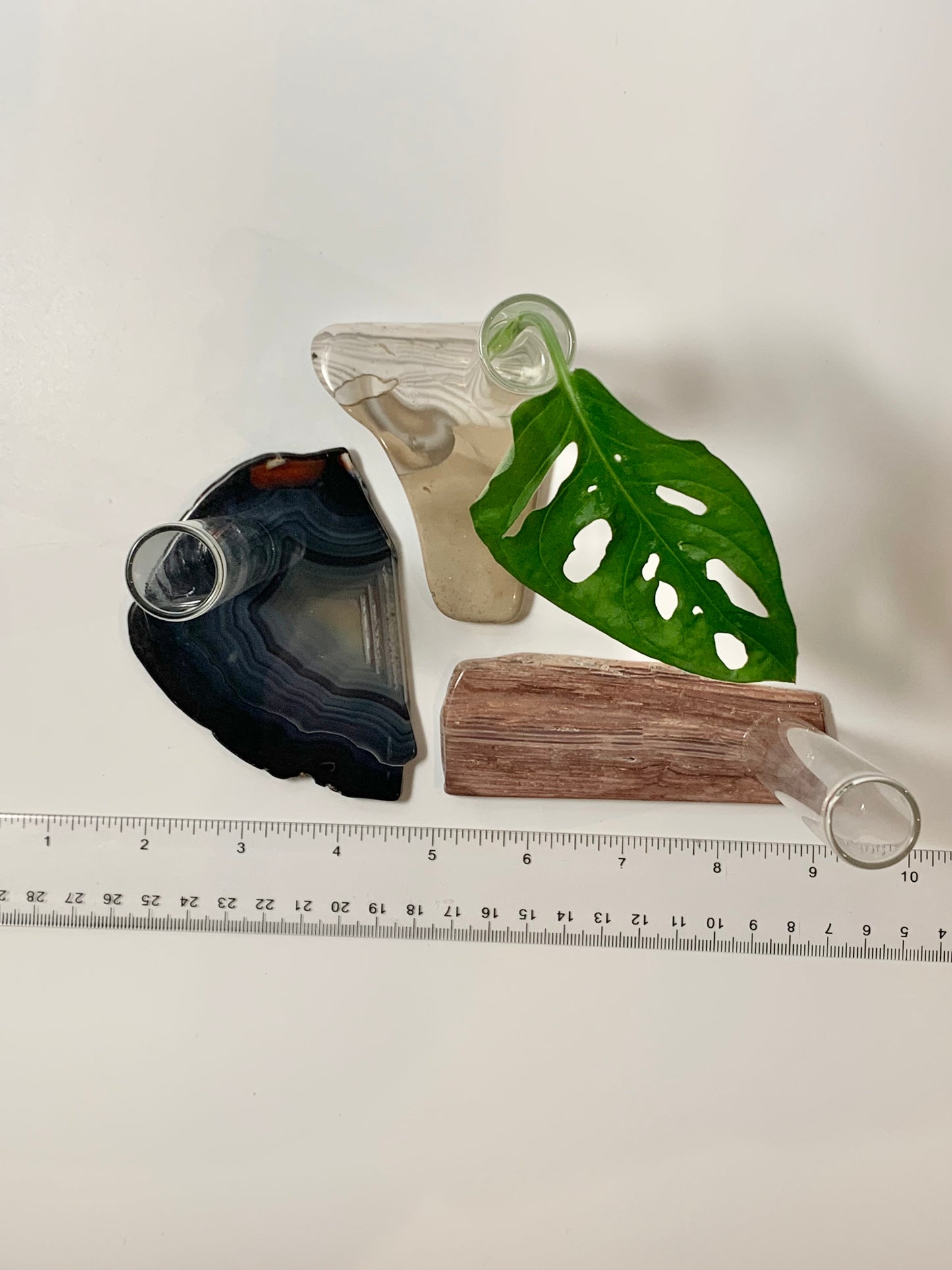 Assorted slab plant propagation