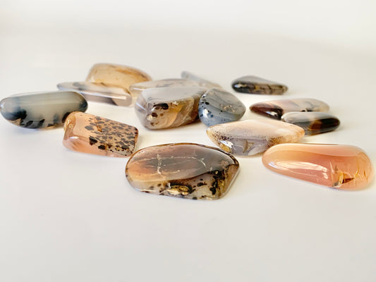 Montana Moss Agate, Tumble