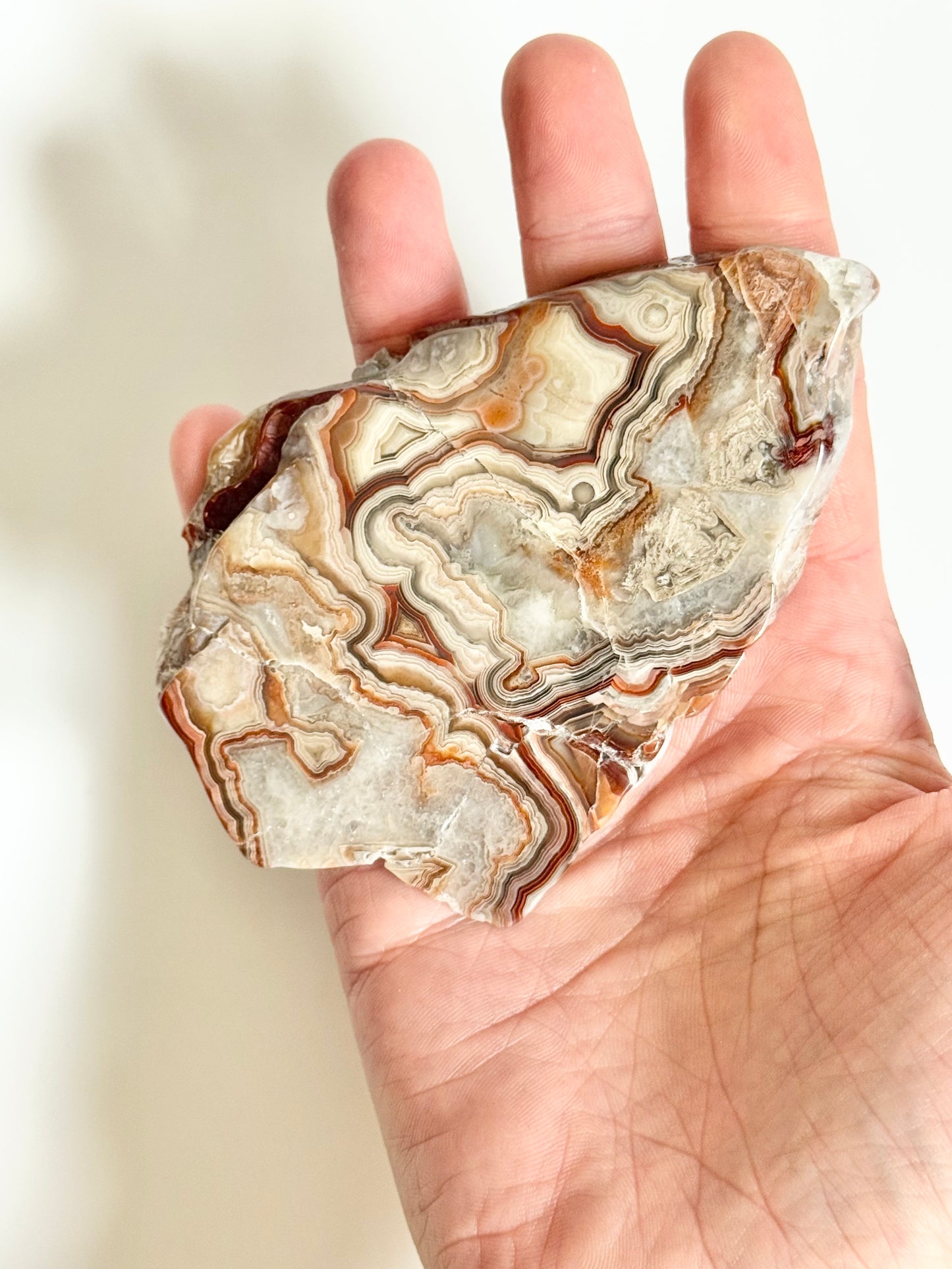 Crazy Lace Agate Slab, polished