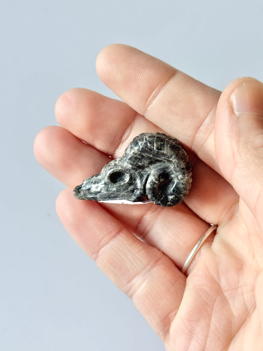 Mini Goat Skull Carving