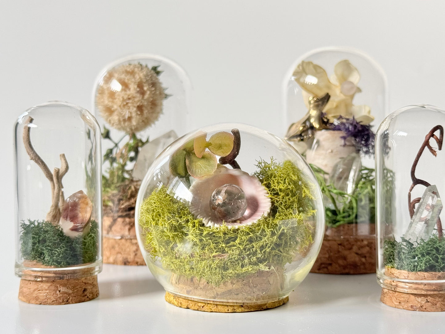 Nature Domes, Crystal Moss Terrarium