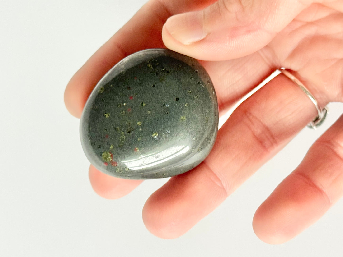 Lake Michigan Polished Stone