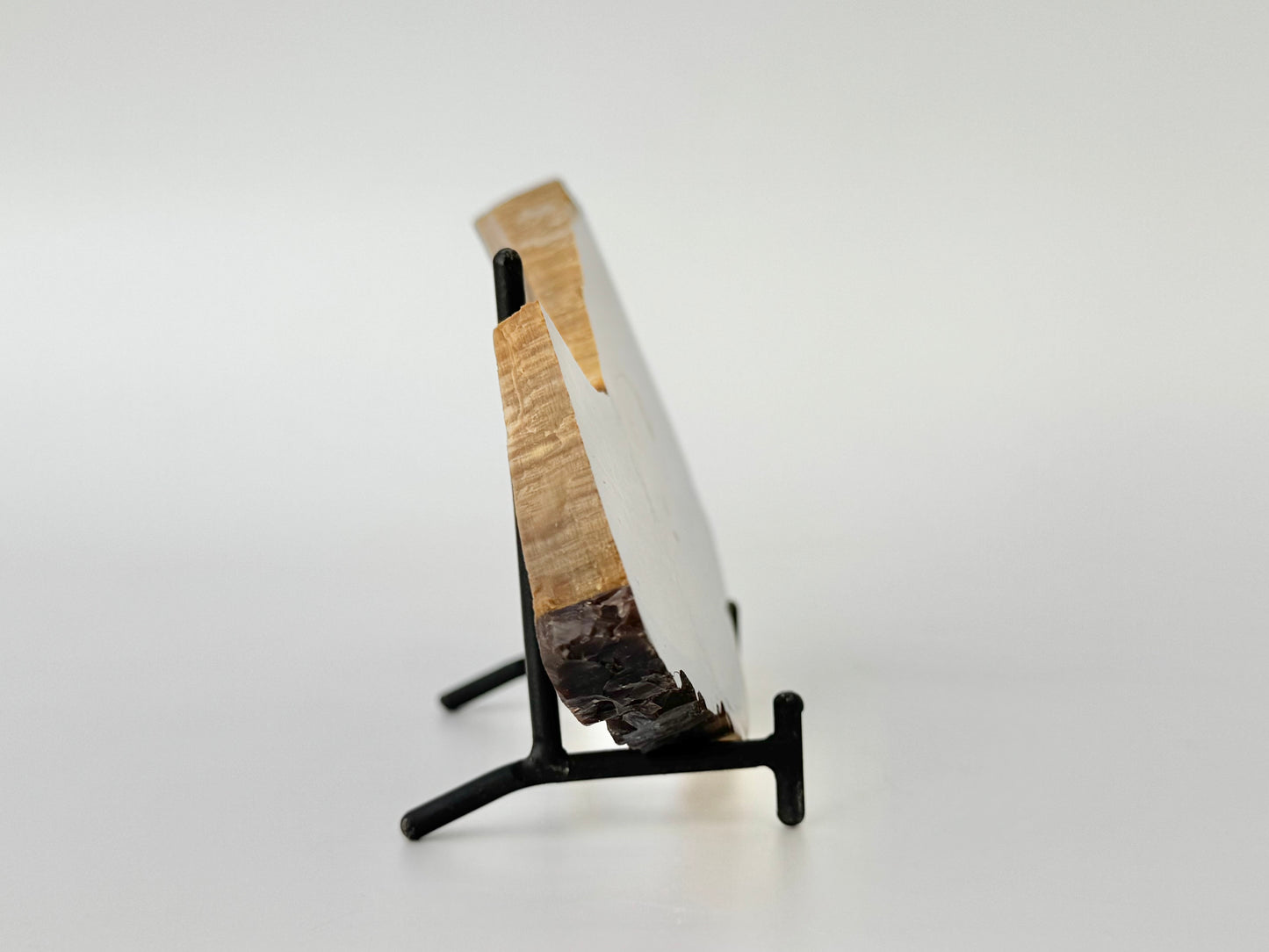 Petrified Wood Slab, Polished