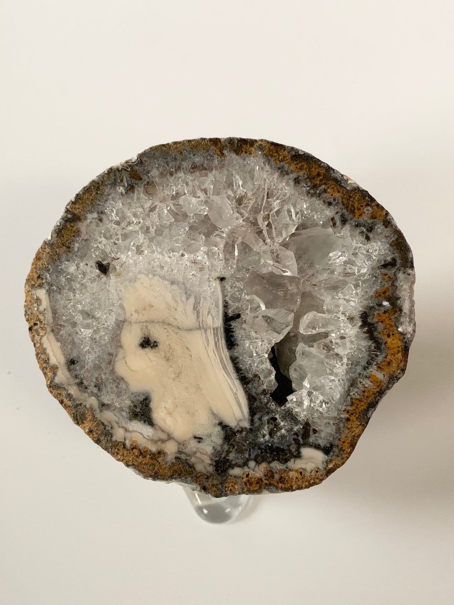 Coconut Geode Cut and Polished