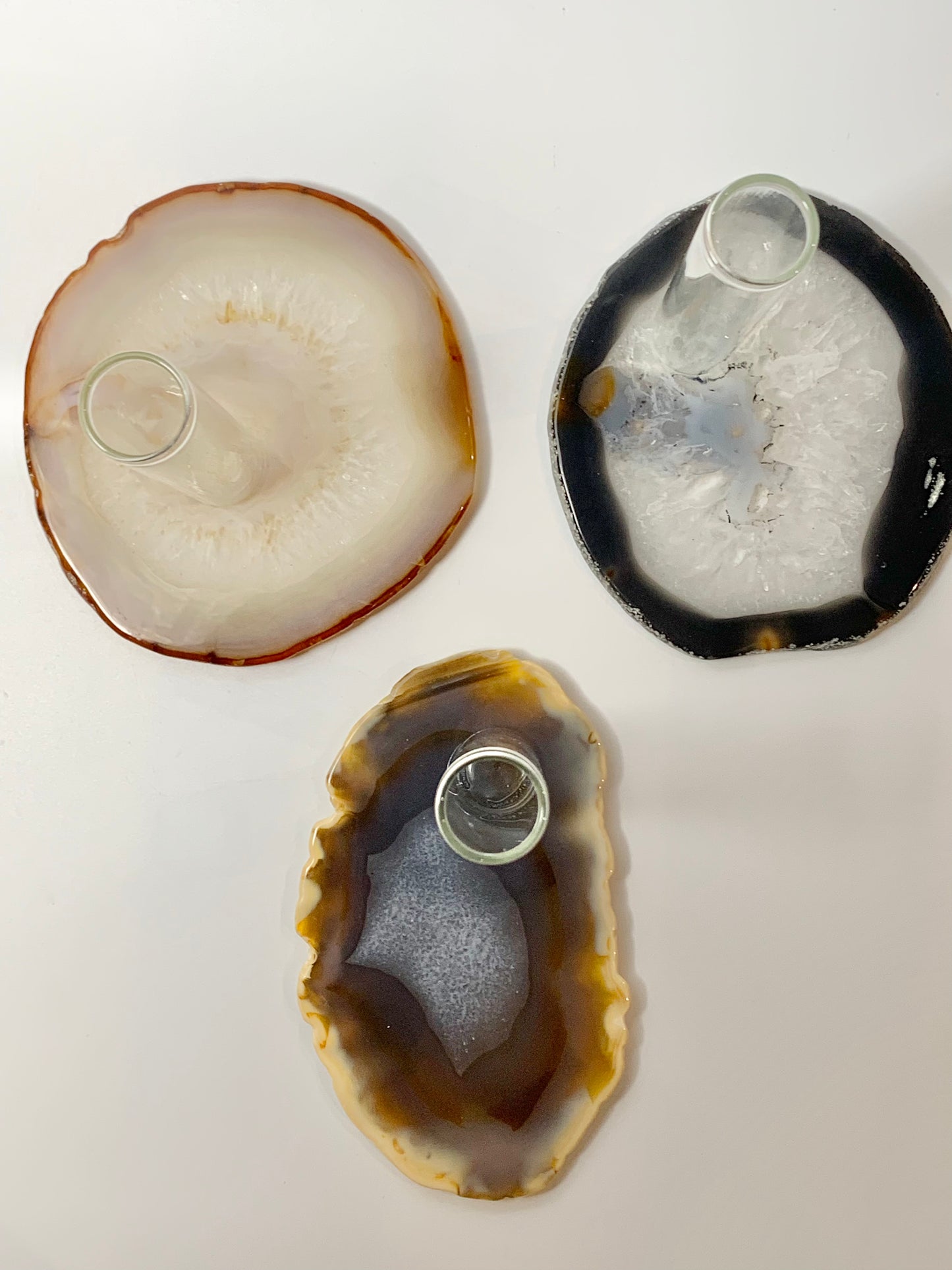 Agate slice plant propagation
