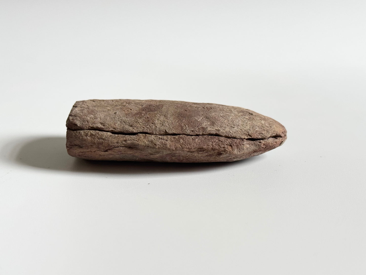 Pecopteris Double Fern Fossil