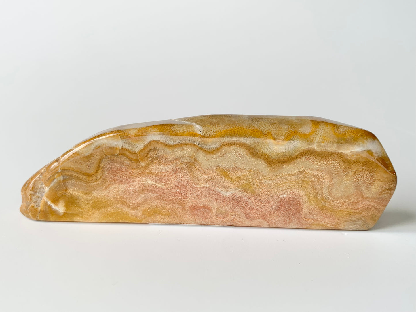 Stromatoporoids Fossil Slab