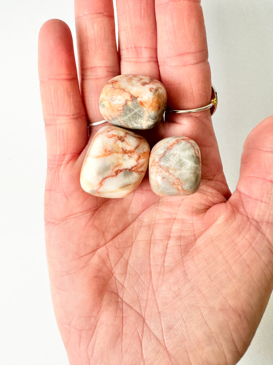 Red Vein Jasper Tumble