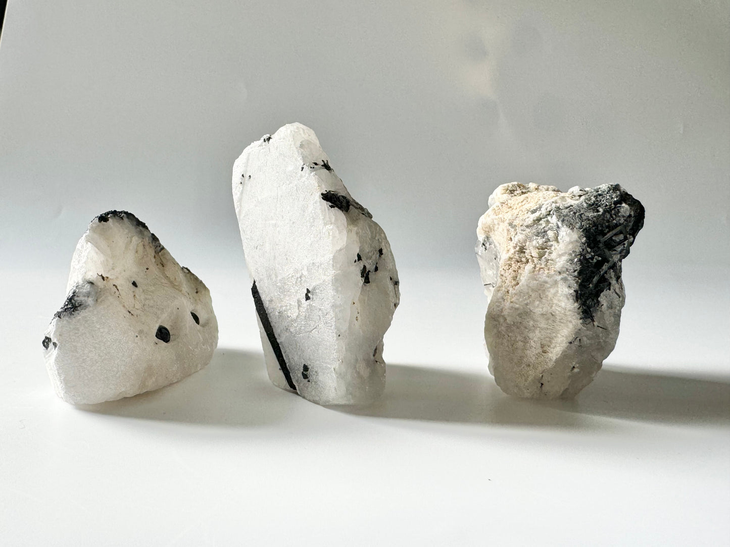 Pet Rock, Tourmaline in Quartz
