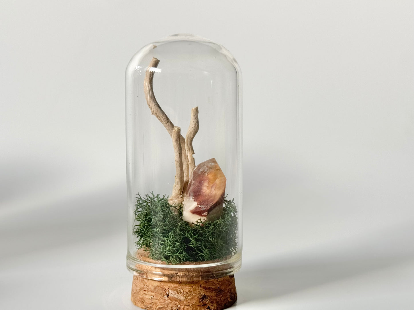 Nature Domes, Crystal Moss Terrarium
