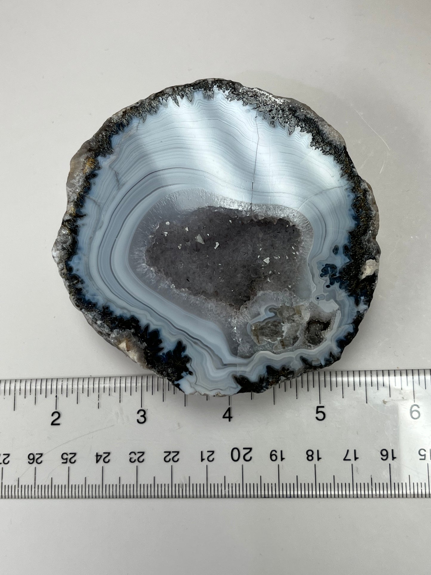 Coconut Geode Polished Half (Las Choyas), choose your own