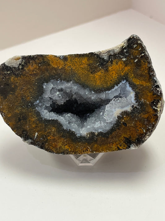 Coconut Geode Polished Half (Las Choyas), choose your own