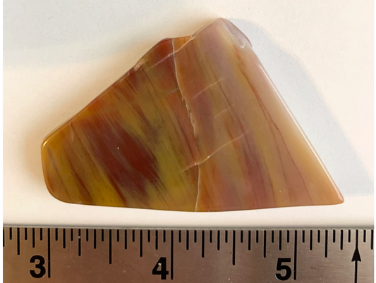 Petrified Wood Slab, Small