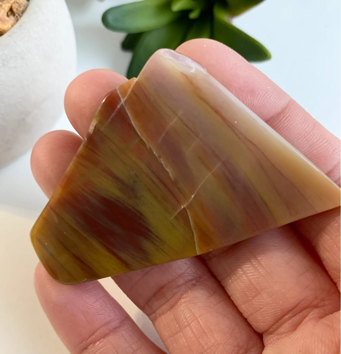 Petrified Wood Slab, Small