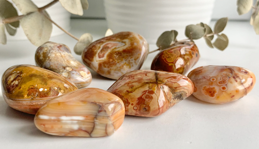 Bahia Agate, polished bulk Bahia agates