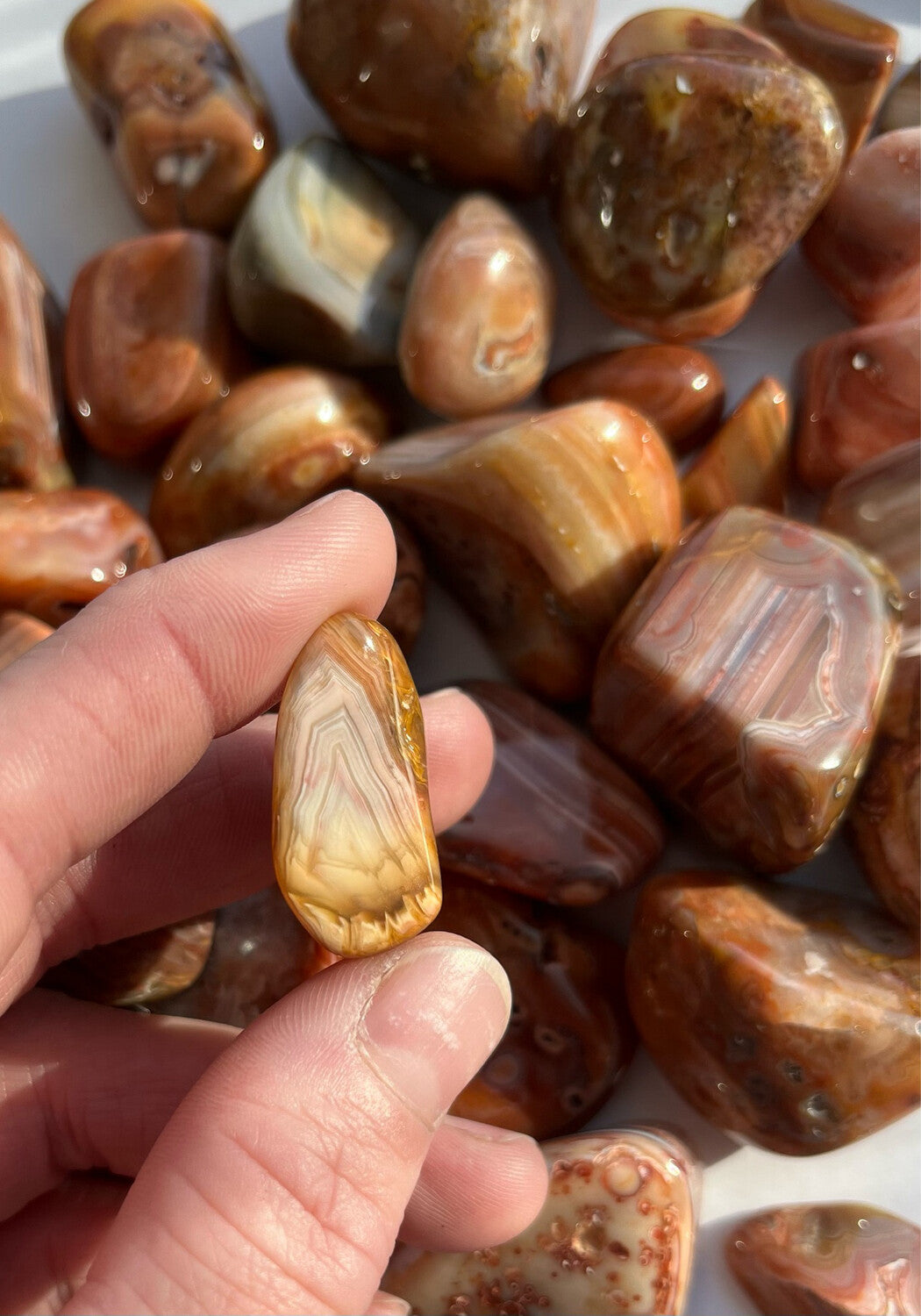 Bahia Agate, polished bulk Bahia agates
