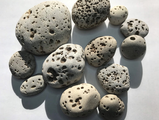 Vesicular Rocks (1lb), Rocks with holes, Lake Michigan rocks