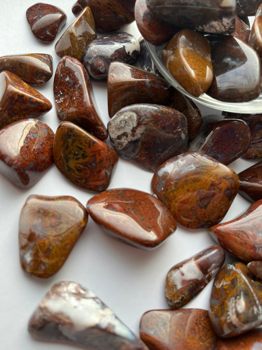 Mexican Moss Agate Polished stones, moss agate tumbles, pretty rocks
