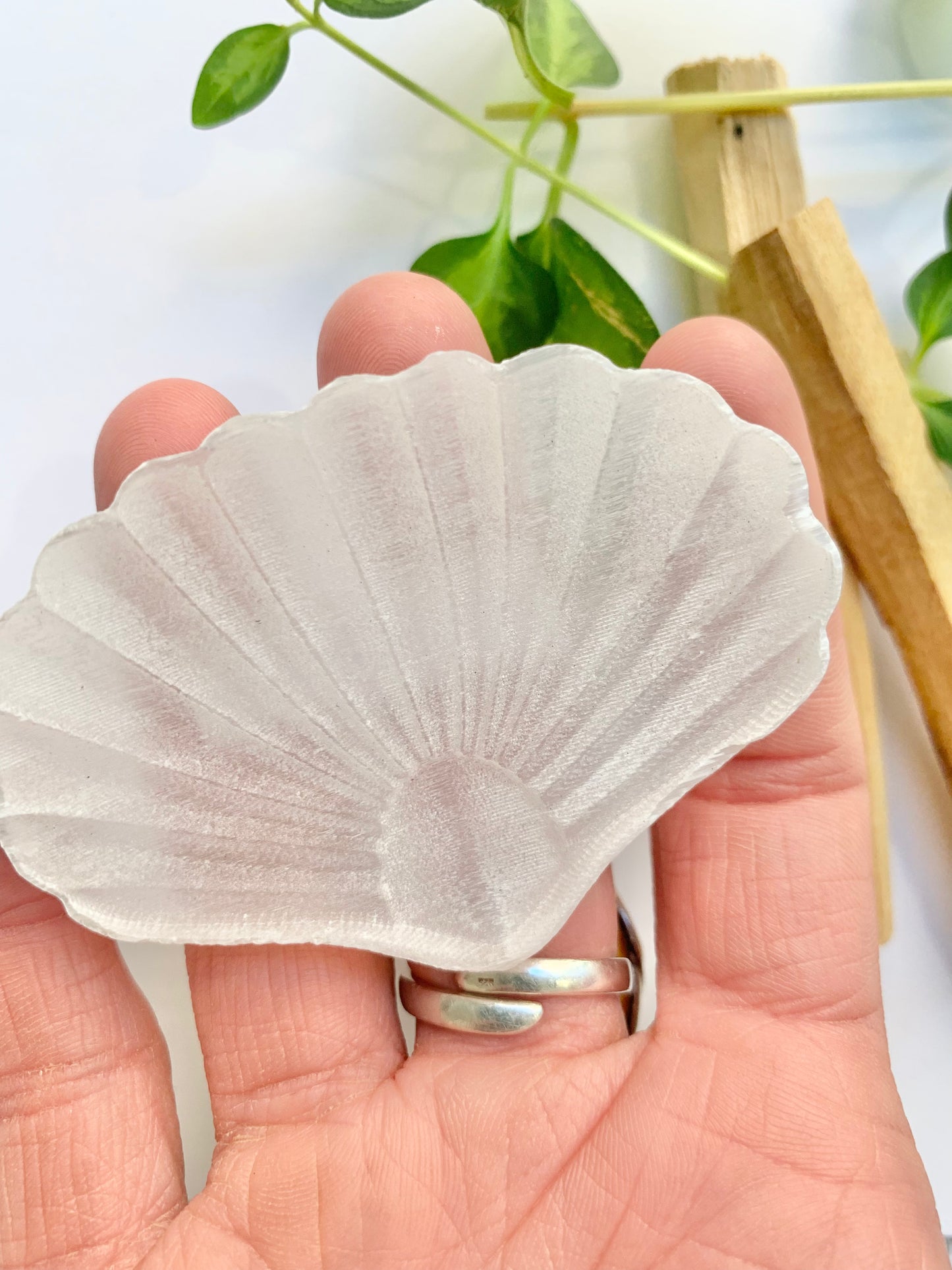 Satin Spar Shell Carving