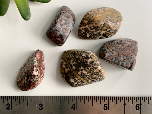 Leopardskin Jasper