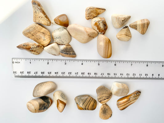 Picture Jasper Tumbles