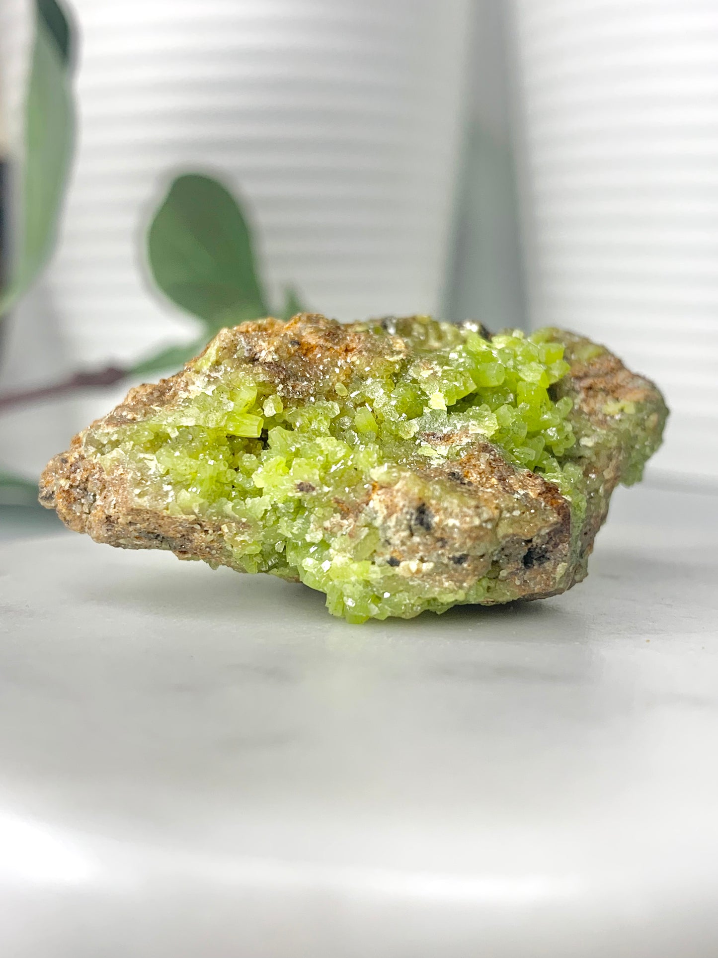 Pyromorphite Raw Specimen