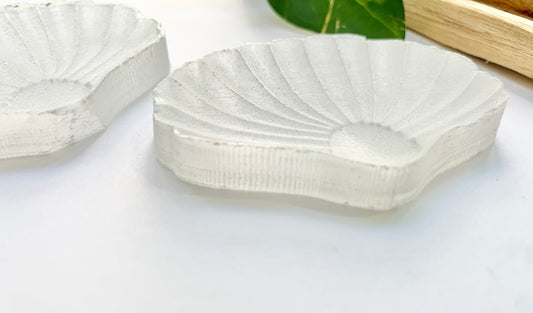 Satin Spar Shell Carving