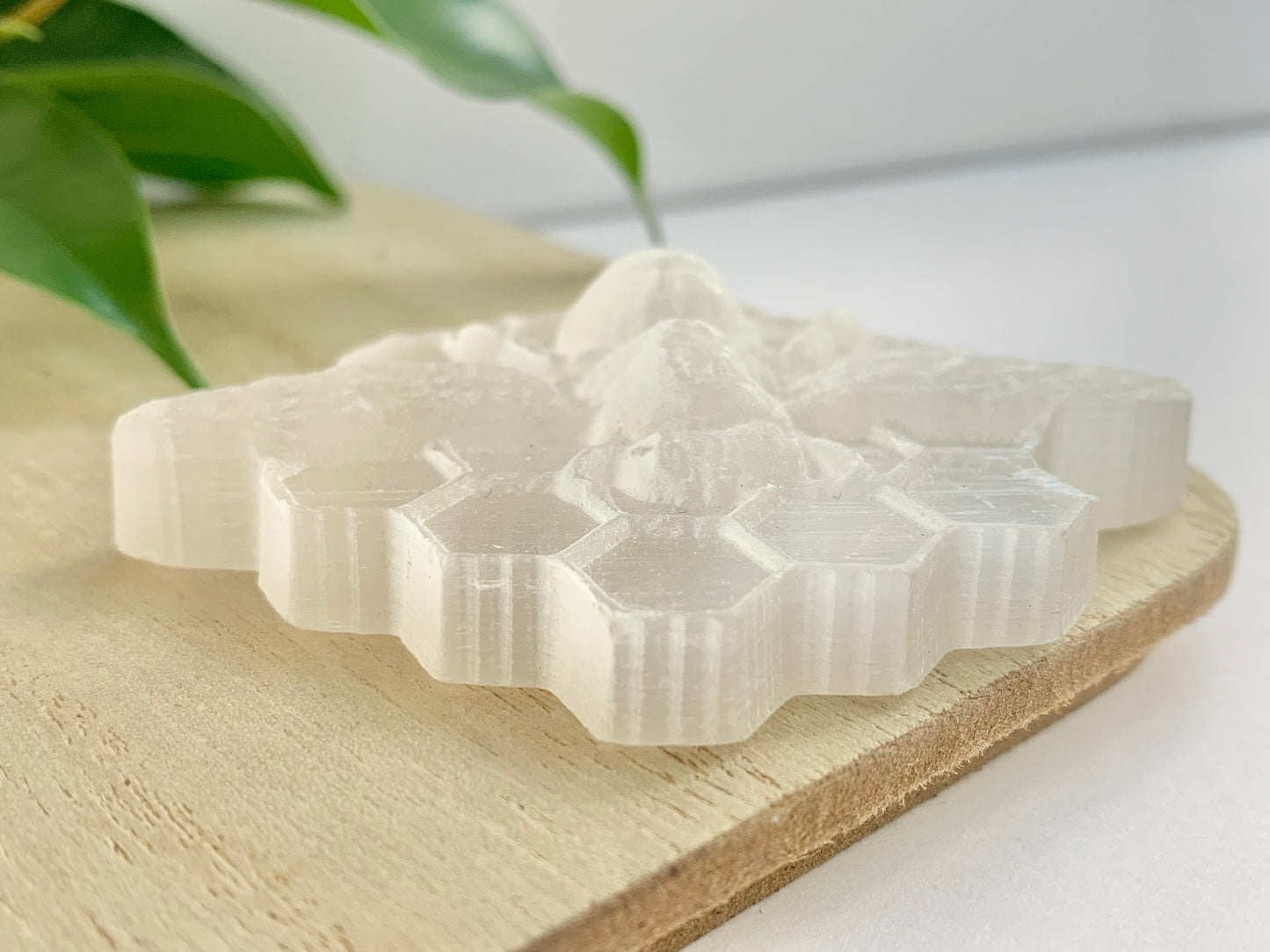 Satin Spar Bee with Honeycomb