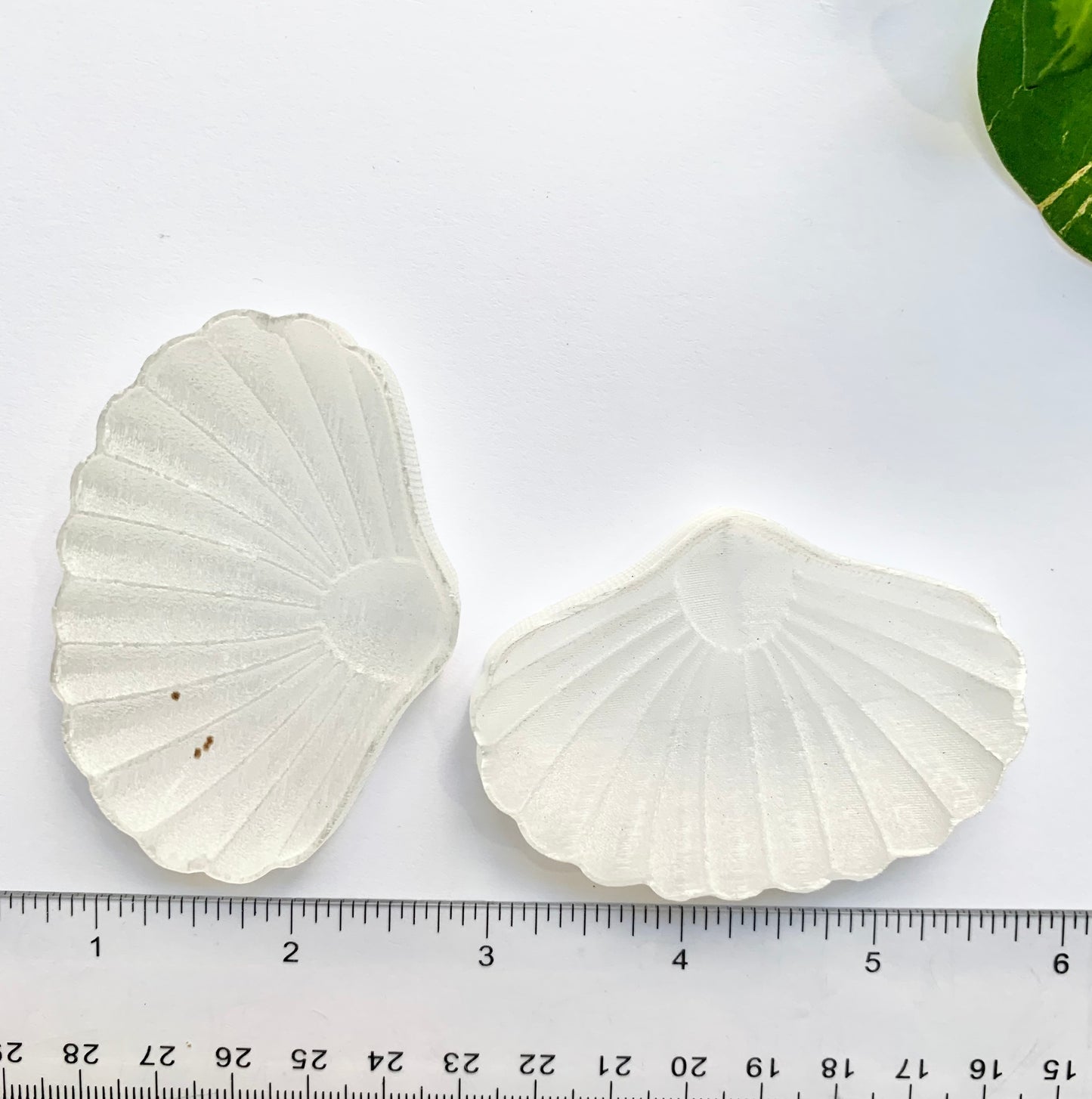 Satin Spar Shell Carving