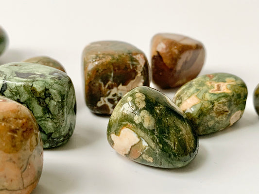 Rainforest Jasper (Rhyolite)