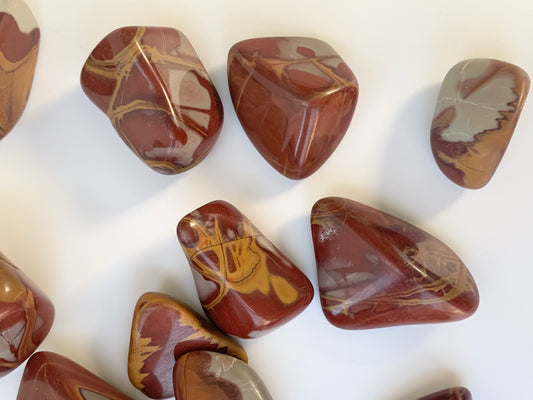 Noreena Jasper Tumbles