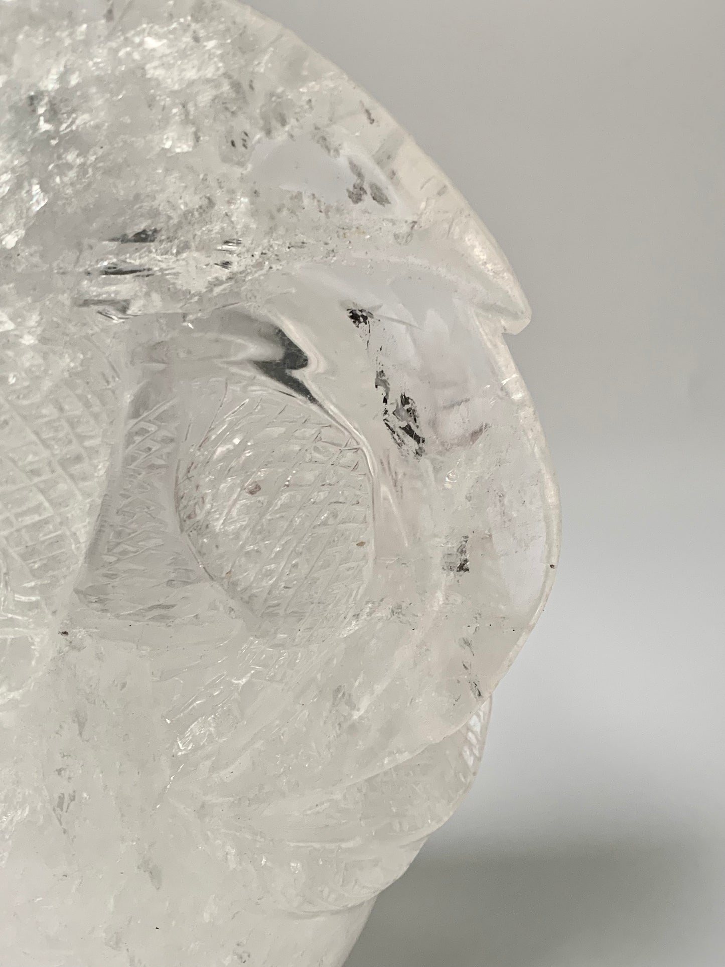 Clear Quartz Dragon on Skull Carving