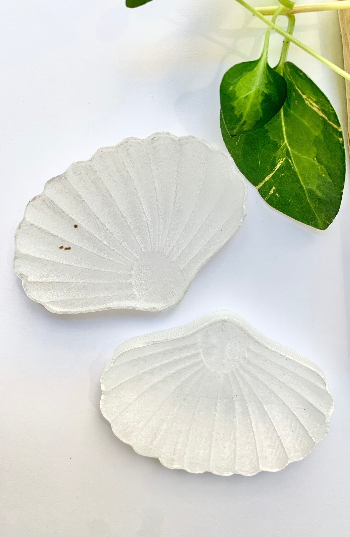 Satin Spar Shell Carving