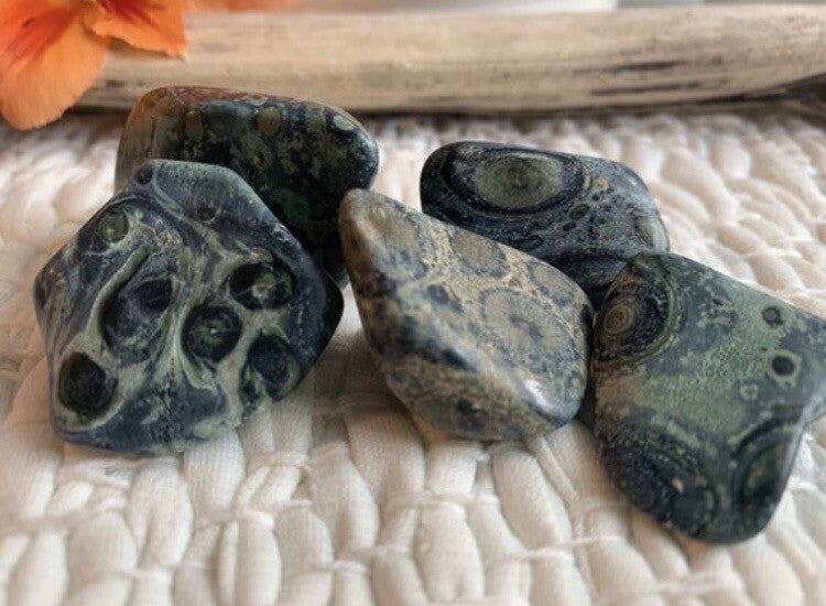 Kambaba Jasper, polished Kambaba bulk
