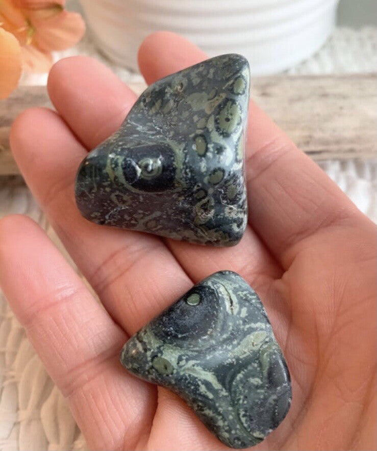 Kambaba Jasper, polished Kambaba bulk