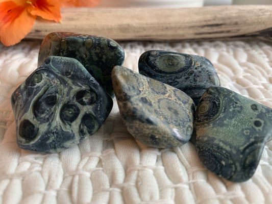 Kambaba Jasper, polished Kambaba bulk