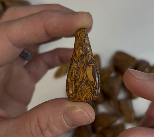 A Coquina Jasper by Any Other Name is Still a Pain to Tumble…