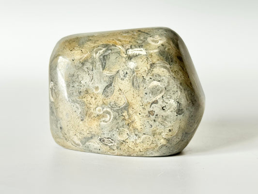 Lake Michigan Fossil Soup Freeform