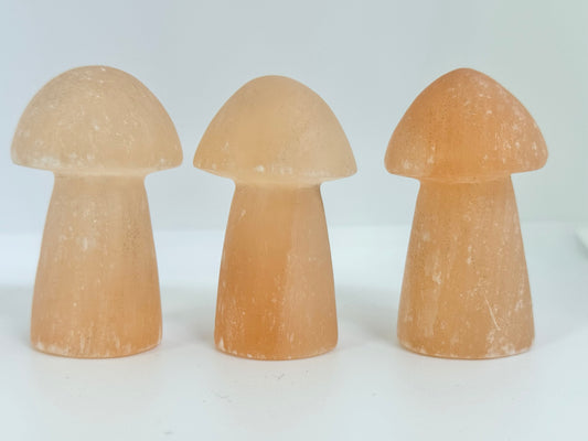 Peach Satin Spar Mushroom