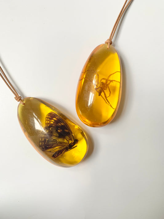 'Amber' bug in resin