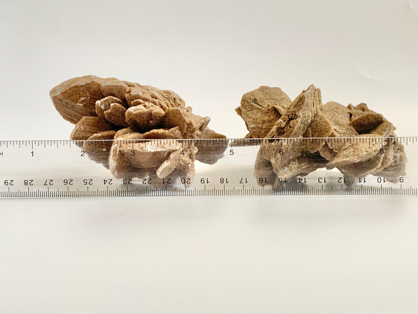 Desert Barite Rose Cluster