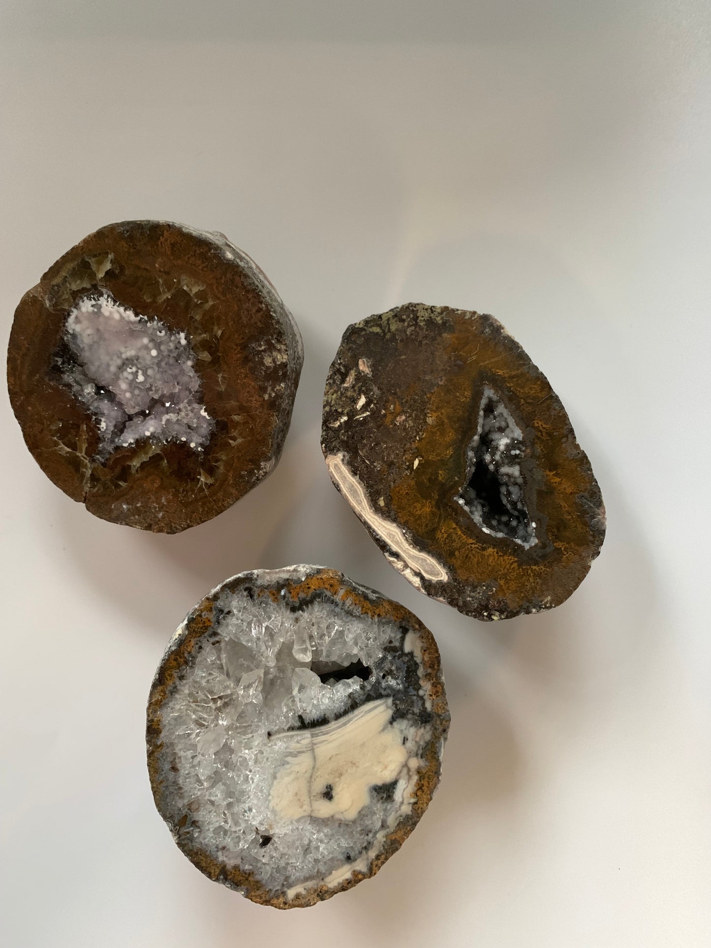 Coconut Geode Cut and Polished