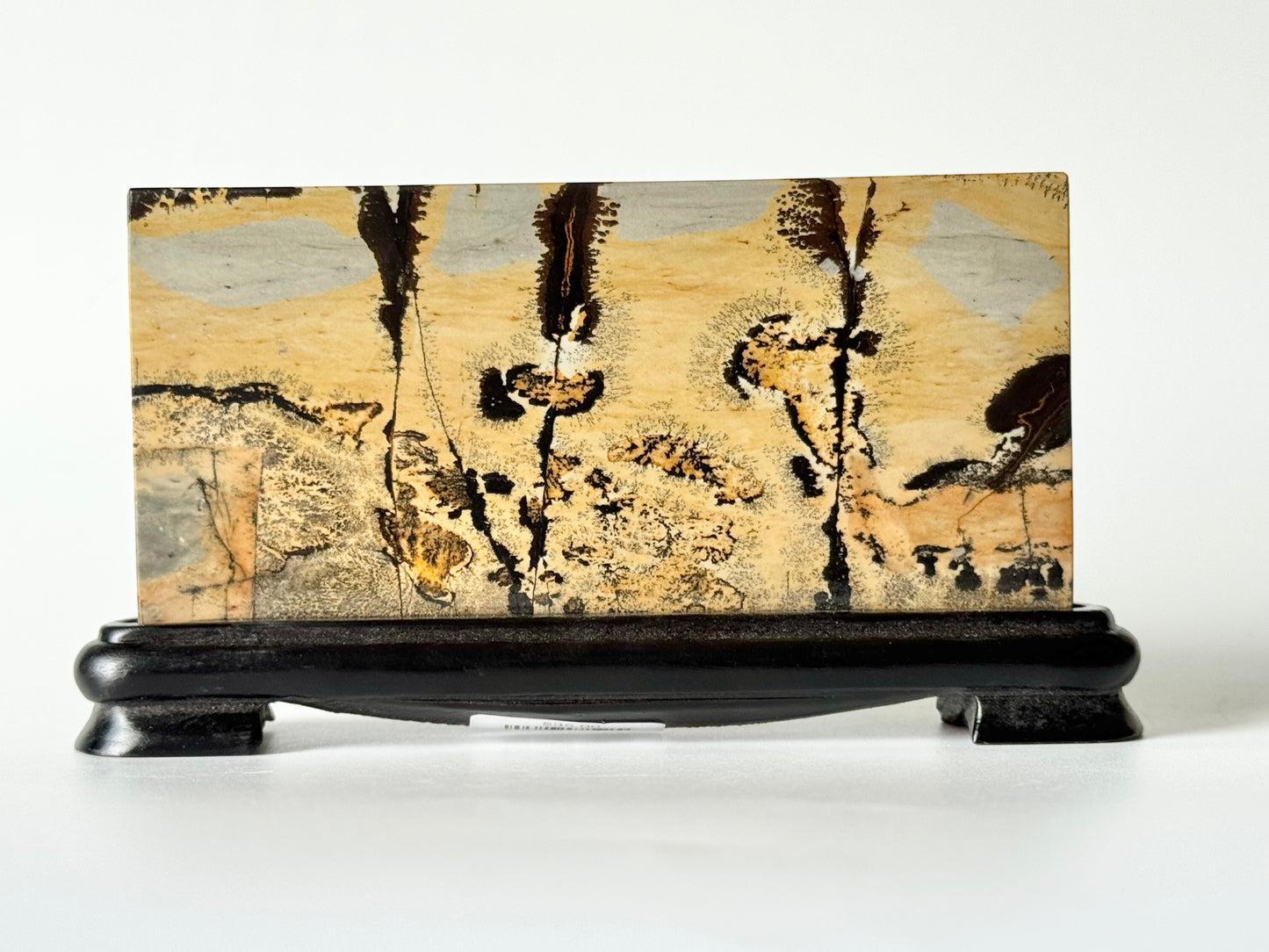 Picture Jasper Slab on Wooden Stand
