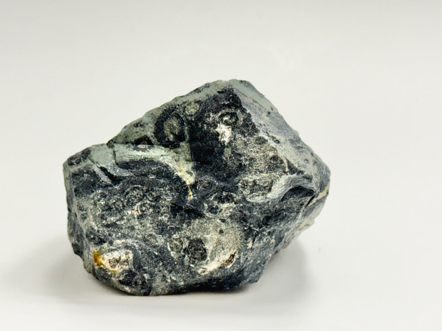 Kambaba Jasper, Raw Display Piece